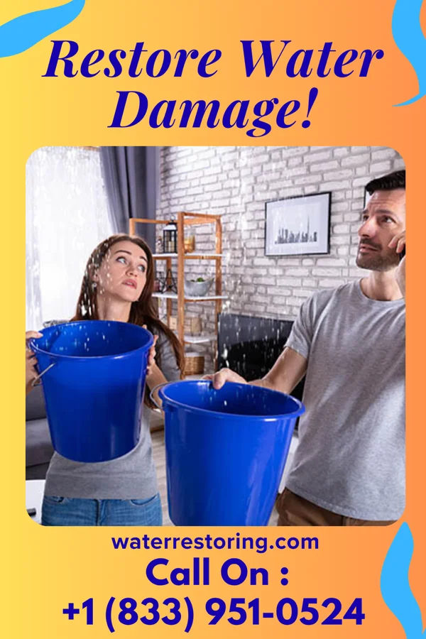water restoration Ultimate Recovery Professionals Rougemont